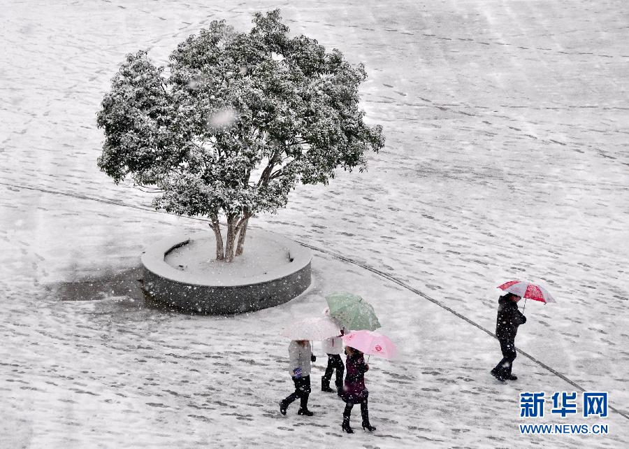 近期全國天氣28年“最冷” 南方低溫雨雪將加強