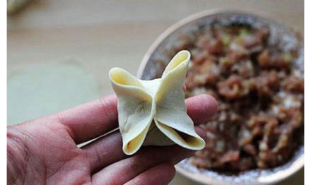 12種餃子包法走紅網絡 “向日葵餃子”引驚嘆