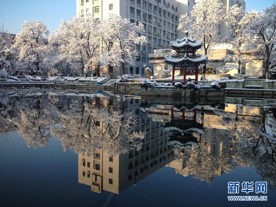 京城降雪迎春分 銀裝素裹如童話世界