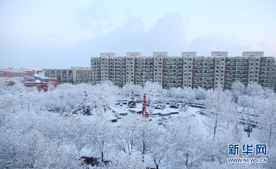 京城降雪迎春分 銀裝素裹如童話世界