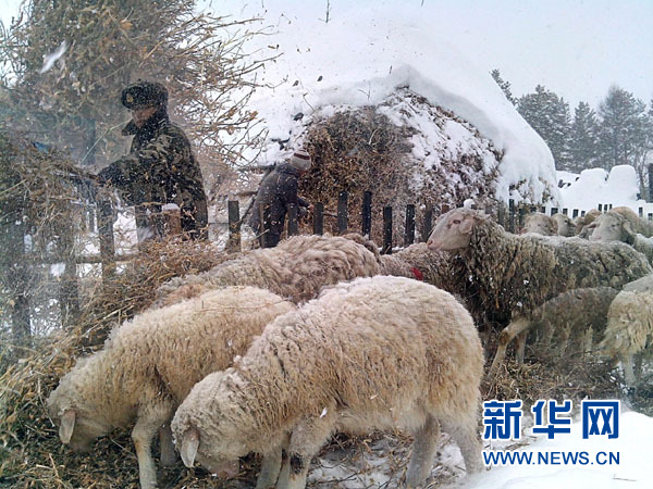 黑龍江漠河遭遇罕見暴雪 24小時內(nèi)降雪量達(dá)20毫米