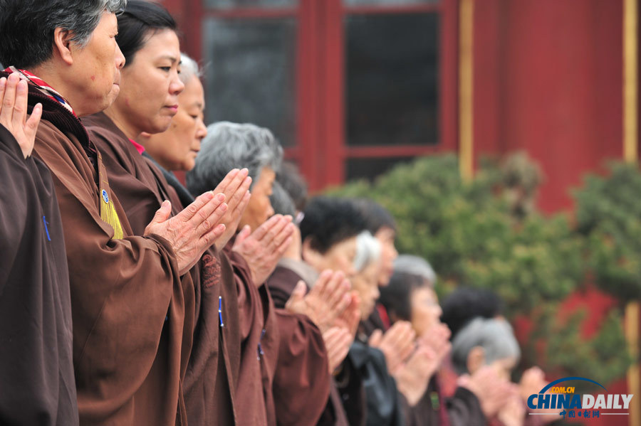 北京佛教信眾為蘆山地震災區祈福并捐款