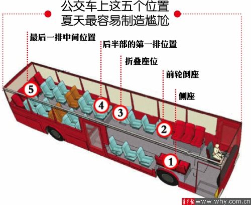 網友總結公交車最易走光位置 有車長稱“基本在理”