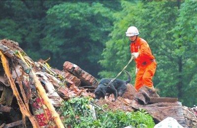 都江堰滑坡已致26人遇難 失蹤者數量升至123人
