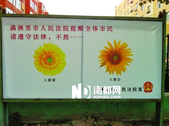 法院推“內涵”宣傳畫：菊花入獄后變葵花