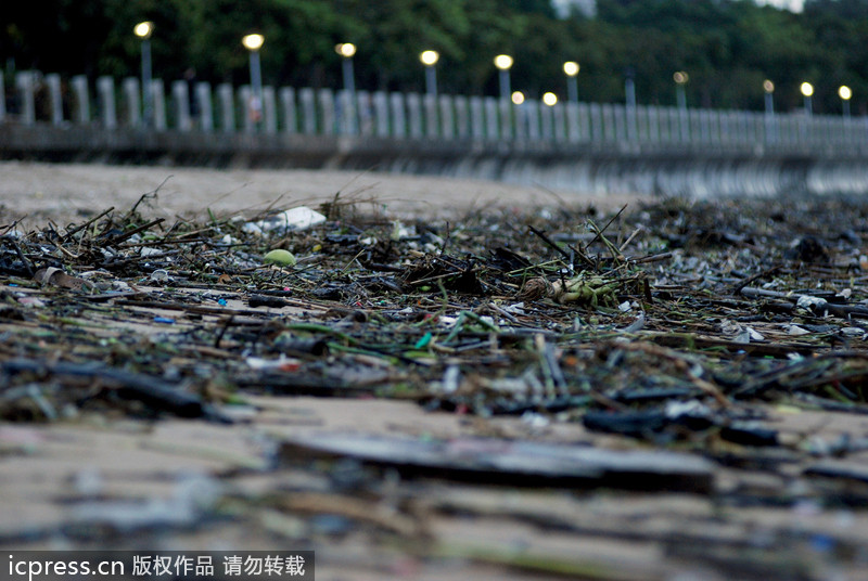 大批垃圾借臺風(fēng)蘇力“入侵”廈門 海灘變“垃圾場”