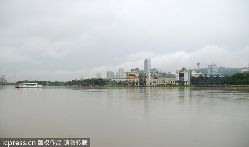 臺風(fēng)西馬侖登陸 廈門一夜間變澤國