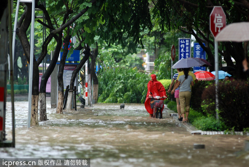 臺風西馬侖登陸 廈門一夜間變澤國