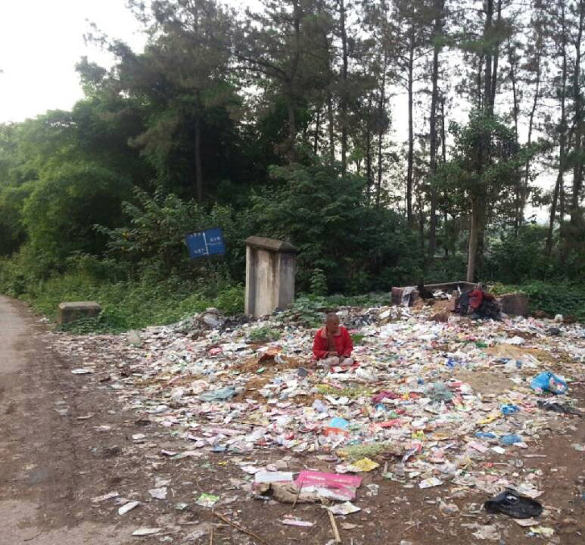 高清：網曝四川一森林公園成垃圾山 滋生大量蒼蠅