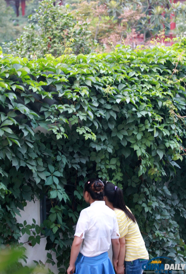 高清：鄭州一公園每天只開4小時 閉園后變高檔餐館