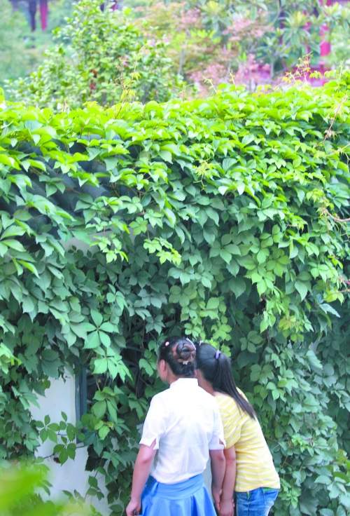 鄭州一公園每天只開4小時 閉園后變高檔餐館（圖）