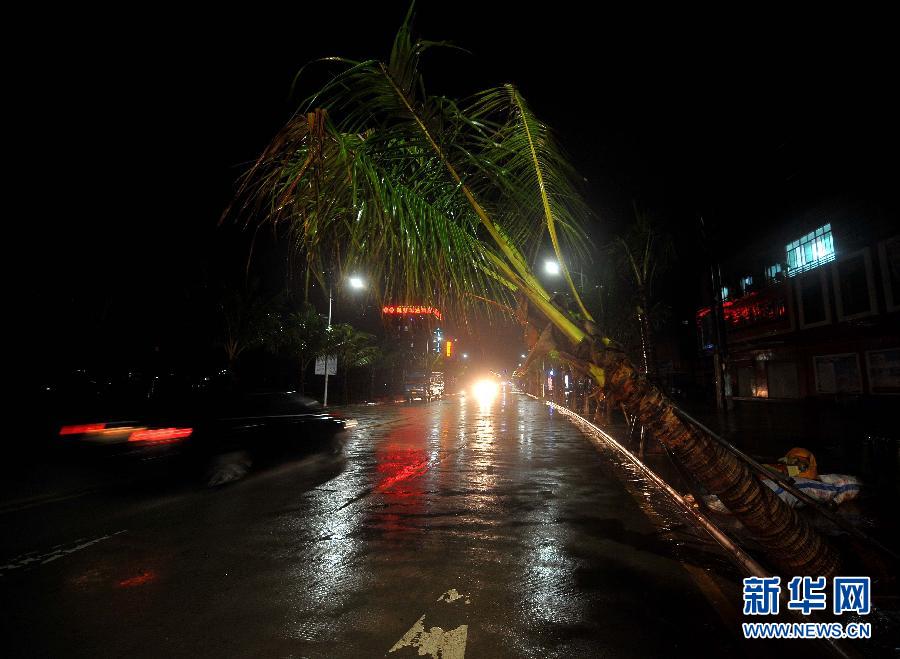 強熱帶風暴“飛燕”登陸海南 街邊大樹被連根拔起