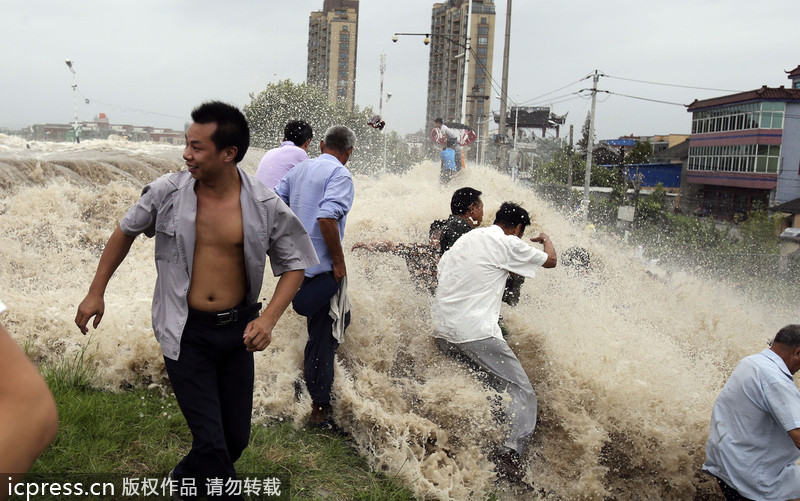 浙江海寧：高潮位達(dá)6.60米“回頭潮”席卷錢塘江鹽倉(cāng)一帶 打翻數(shù)百名游客