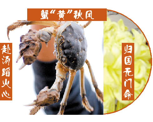 德國大閘蟹“戰敗”賠款 電商：“我們搞砸了”