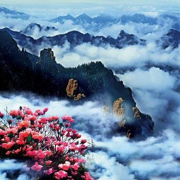 詭異無(wú)解！盤(pán)點(diǎn)地球上十大神秘之地