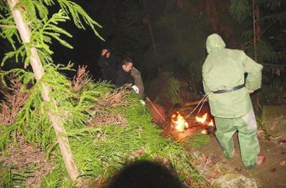 四川珙縣4名學生放學路上遭野蜂“圍攻”致1死3傷(圖)