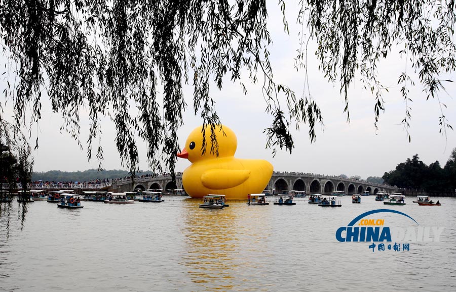 數(shù)萬(wàn)名中外游客冒雨進(jìn)頤和園看“大黃鴨”