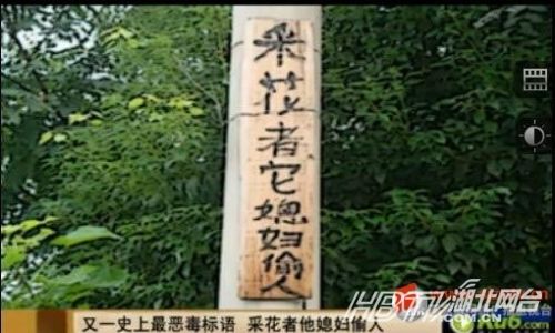 另類沖刺標(biāo)語屌絲氣息濃郁 盤點(diǎn)那些令人無語的奇葩標(biāo)語(組圖)