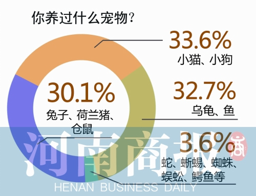 大學生養寵物五花八門:蜥蜴、蜘蛛、蜈蚣應有盡有