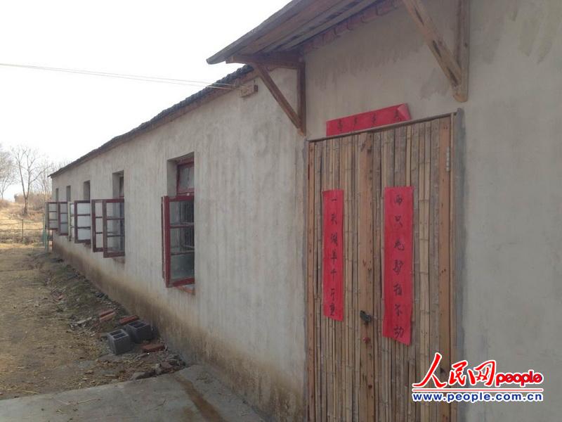 人民網記者新春走基層 大學生“羊倌”的創業夢想