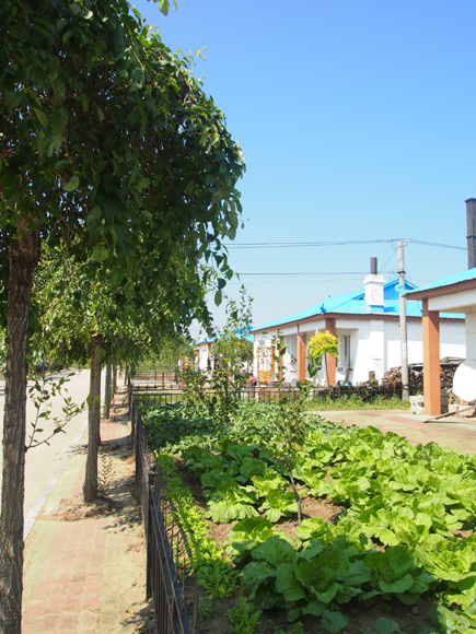 軍民共建固邊關(guān)—走進(jìn)吉林邊陲朝鮮族防川村
