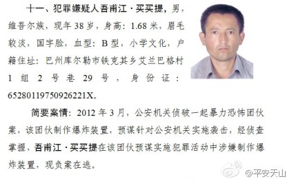 新疆公安廳通緝11名暴力恐怖案件犯罪嫌疑人（組圖）