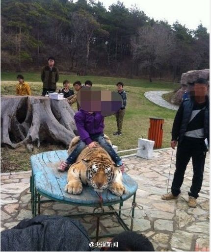 住建部發《全國動物園發展綱要》 杜絕動物表演