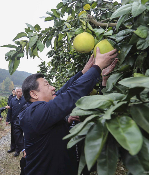 習近平在湖南考察時強調：深化改革開放推進創新驅動 實現全年經濟社會發展目標