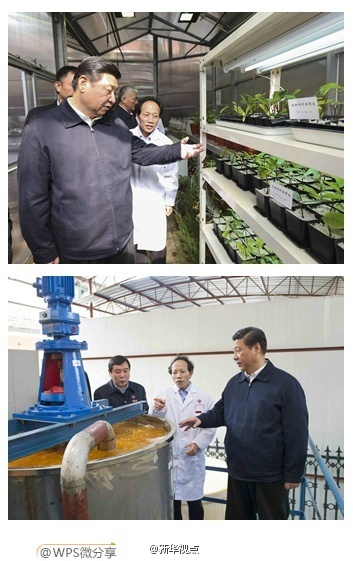 習近平在湖南考察時強調：深化改革開放推進創新驅動 實現全年經濟社會發展目標