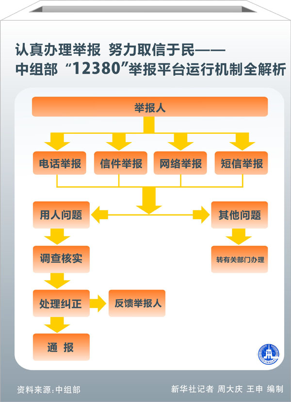 中組部“12380”舉報平臺運行機制全解析