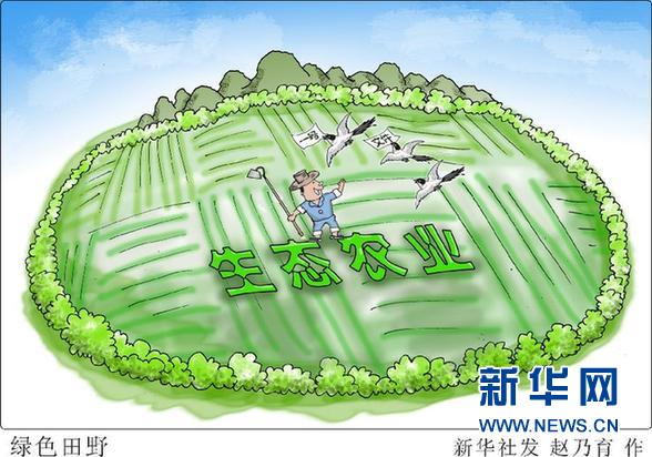 解讀中央一號文件：餓肚子歲月不能忘