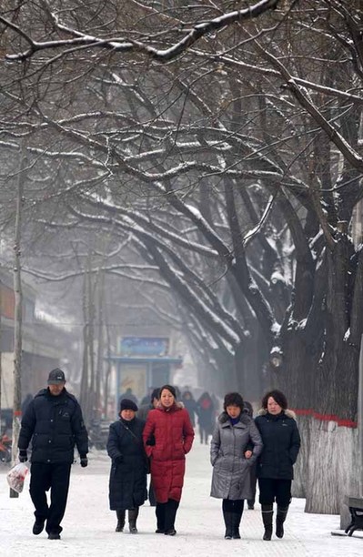 各地迎來新年初雪