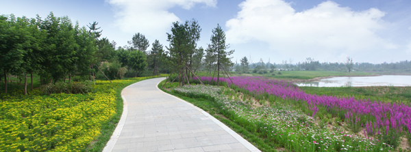 昔日華北煤都 今日生態花園 ——大同市致力生態建設改善人居環境