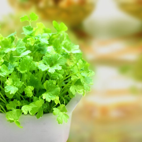 30種神奇的抗衰老食物！