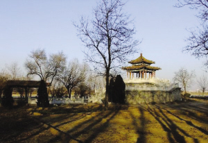 柳林 50年代的城市風景