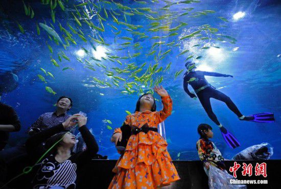 天津游客夜宿海洋館 體驗與魚共眠（全文）