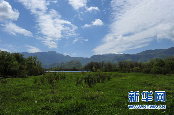 神農架高山濕地大九湖掠影