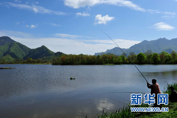 神農(nóng)架高山濕地大九湖掠影