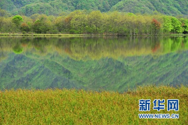 神農架高山濕地大九湖掠影