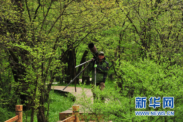 神農架高山濕地大九湖掠影