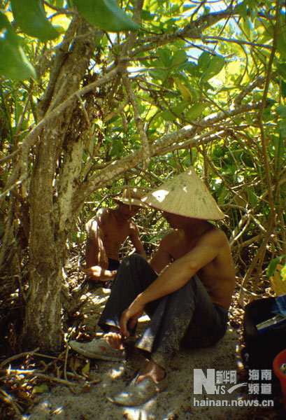 珍貴！1991年西沙科考海量歷史照