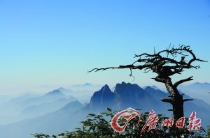黃云暮紅葉秋 從佛山到婺源的彩色之旅