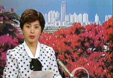 趙忠祥羅京白巖松 央視主播年輕照曝光!