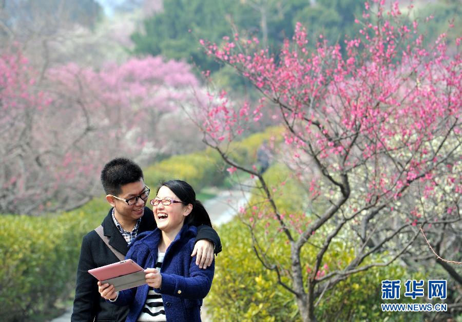 “花開意盎然，雀鳥上枝頭”：聽！春天的腳步聲