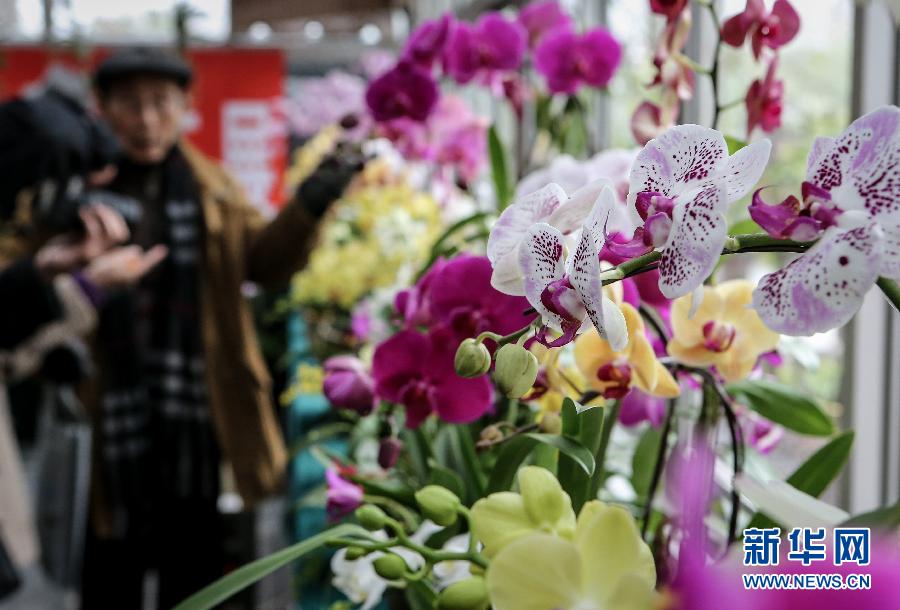 “花開意盎然，雀鳥上枝頭”：聽！春天的腳步聲