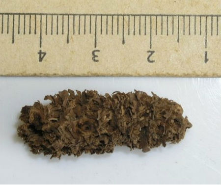 十個迄今發現的最古老物體：7000年石制面具