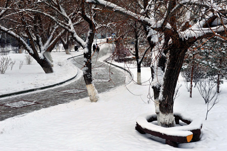 克拉瑪依油城美麗雪景好似水墨畫