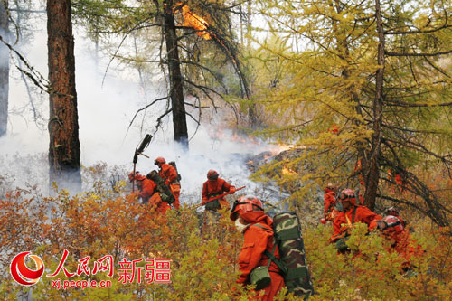 新疆森林武警忠誠守護廣袤林海造福駐地各族群眾