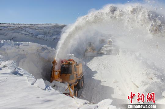 新疆塔城打通“雪墻”確保牲畜順利轉場