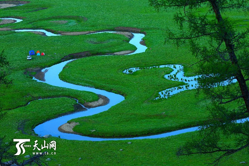 新疆哈巴河縣齊巴爾鄉夏牧場風景如畫